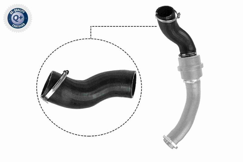 VAICO V25-1057 Charge Air Hose
