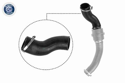 Charge Air Hose VAICO V25-1057