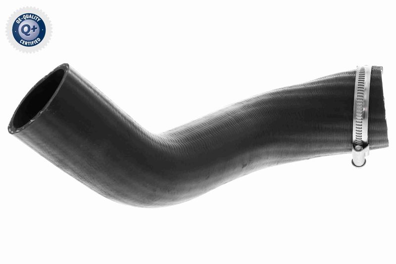 VAICO V25-1161 Charge Air Hose