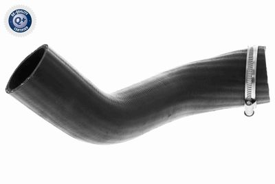 Charge Air Hose VAICO V25-1161