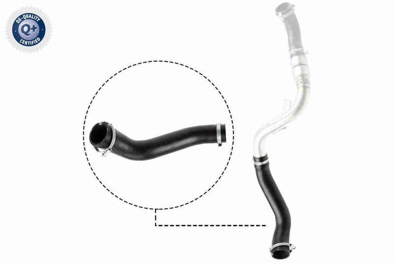 VAICO V25-1488 Charge Air Hose