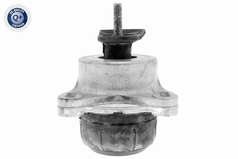 VAICO V25-1915 Mounting, engine