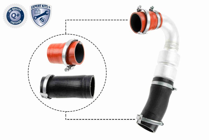 VAICO V25-1920 Charge Air Hose