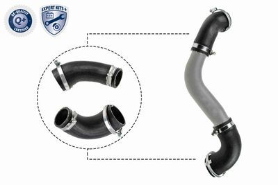 Charge Air Hose VAICO V25-1921