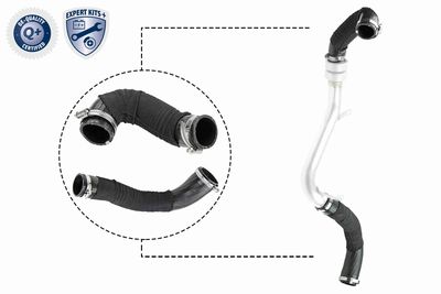 Charge Air Hose VAICO V25-1922
