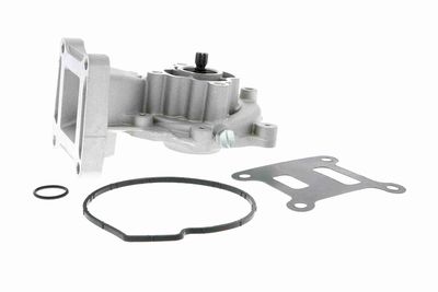 Water Pump, engine cooling VAICO V25-50014