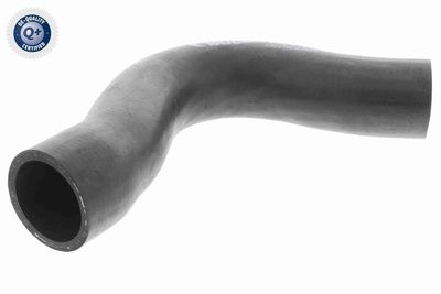 Radiator Hose VAICO V30-0220