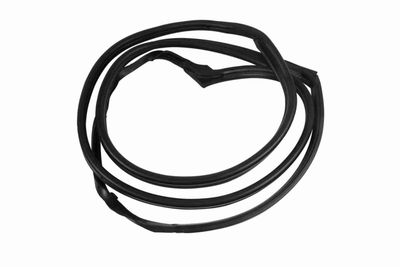 Door Seal VAICO V30-1563