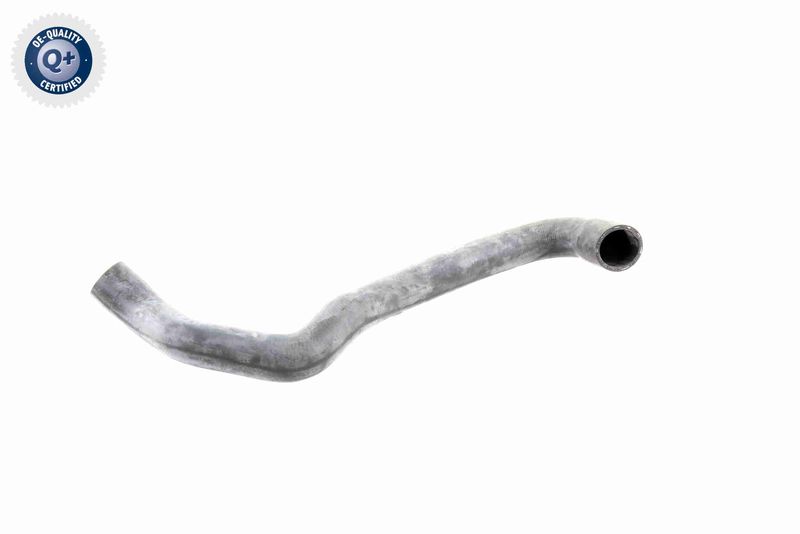 VAICO V30-1576 Radiator Hose