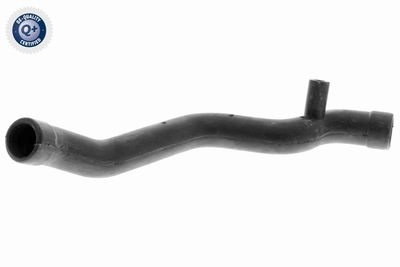 Hose, cylinder head cover ventilation VAICO V30-1610