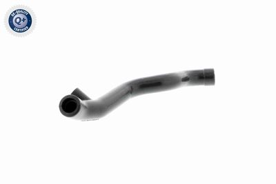 Hose, cylinder head cover ventilation VAICO V30-1611