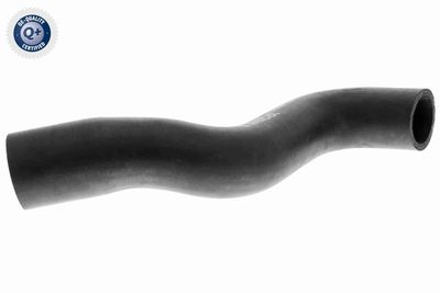 Radiator Hose VAICO V30-1619