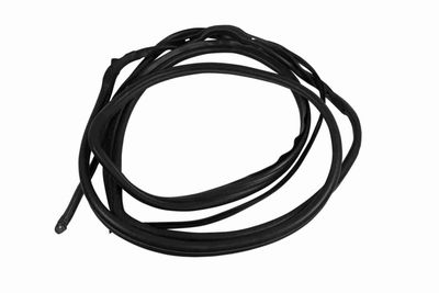 Door Seal VAICO V30-1630