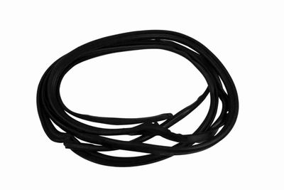 Door Seal VAICO V30-1631