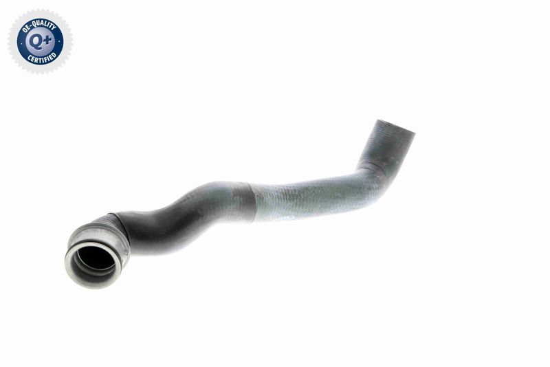 VAICO V30-1650 Radiator Hose