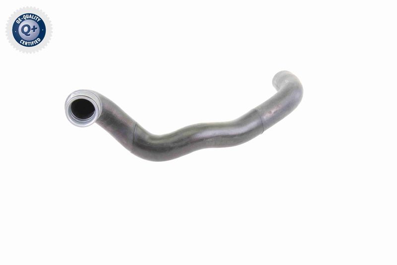 VAICO V30-1651 Radiator Hose