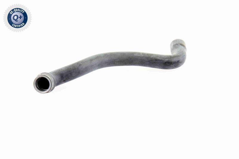 VAICO V30-1655 Radiator Hose