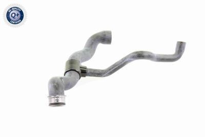 Radiator Hose VAICO V30-1660