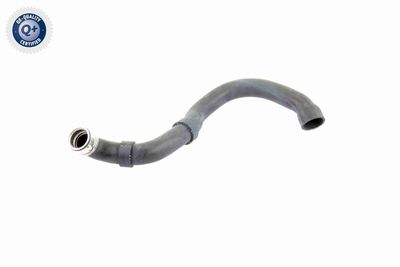 Radiator Hose VAICO V30-1661