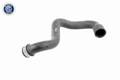 Radiator Hose VAICO V30-1662