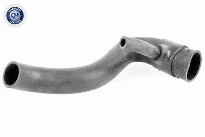 Radiator Hose VAICO V30-1951