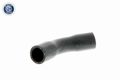 Radiator Hose VAICO V30-2055
