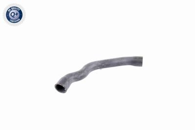 Radiator Hose VAICO V30-2099