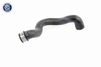 Radiator Hose VAICO V30-2223