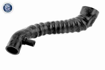 Charge Air Hose VAICO V30-2242