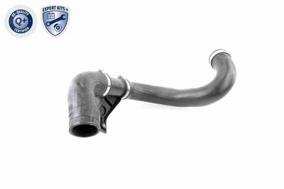 Charge Air Hose VAICO V30-2420