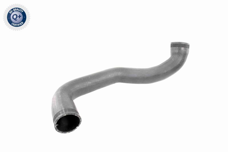 VAICO V30-2450 Charge Air Hose