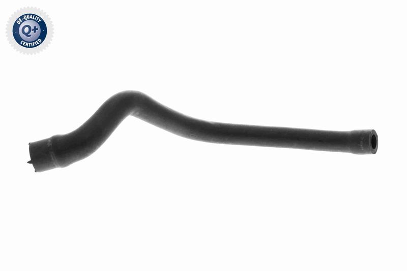 VAICO V30-2536 Hose, cylinder head cover ventilation
