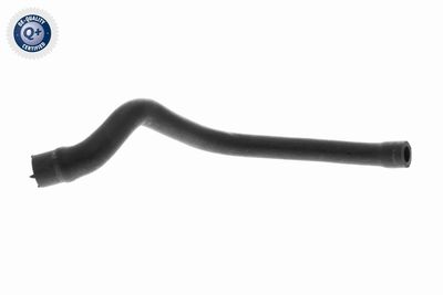 Hose, cylinder head cover ventilation VAICO V30-2536