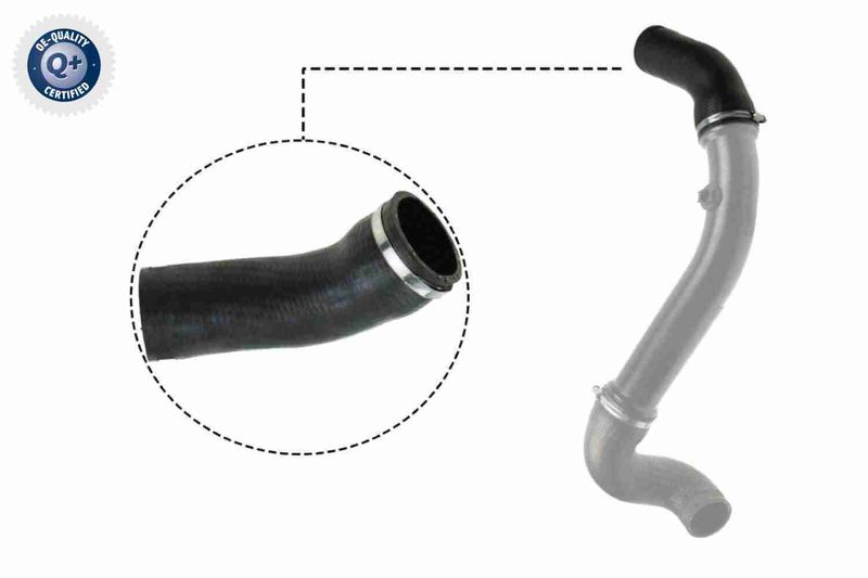 VAICO V30-2717 Charge Air Hose