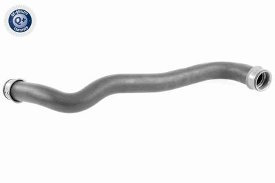 Radiator Hose VAICO V30-2907