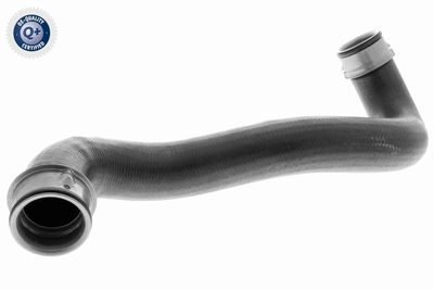 Radiator Hose VAICO V30-2909