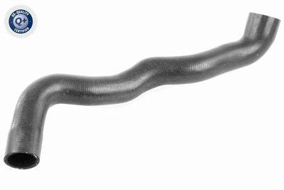 Radiator Hose VAICO V30-2913