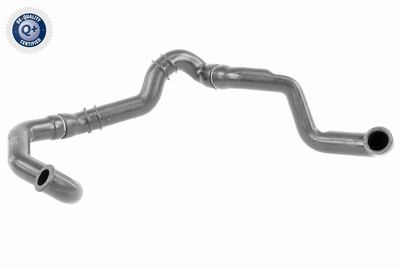 Hose, cylinder head cover ventilation VAICO V30-2926