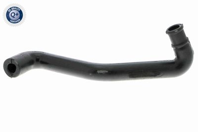 Hose, cylinder head cover ventilation VAICO V30-2927