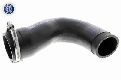 Charge Air Hose VAICO V30-3151