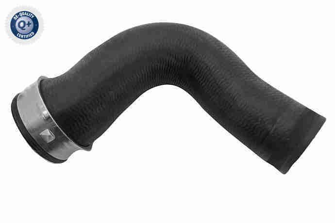 VAICO V30-3199 Charge Air Hose