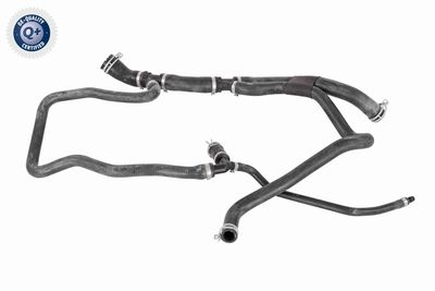 Radiator Hose VAICO V30-3364