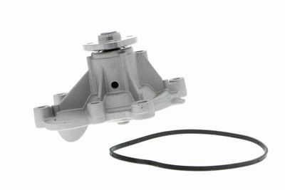 Water Pump, engine cooling VAICO V30-50053