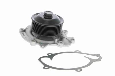 Water Pump, engine cooling VAICO V30-50059