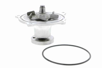 Water Pump, engine cooling VAICO V33-50003