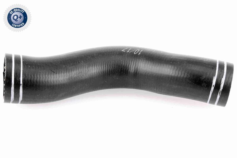 VAICO V38-0297 Charge Air Hose