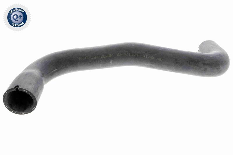 VAICO V40-1160 Radiator Hose