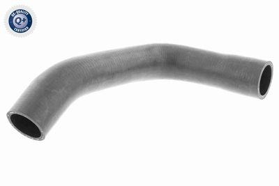 Radiator Hose VAICO V40-1163