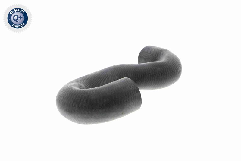 VAICO V40-1336 Radiator Hose