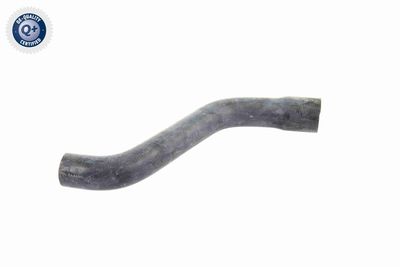 Radiator Hose VAICO V40-1338